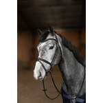 bridon-flex-hfi-cuir