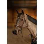 hfi-edge-bridon-cuir-2
