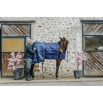 sous-couverture-equitheme-classic-3