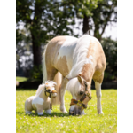toy-poney-lemon-hobby-horse-lmx2