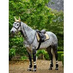 tapis-mixte-cc-mimosa-2