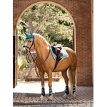 tapis-de-selle-lagoon-1
