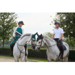 base-layer-kingsland-été-2025-3