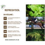 refresh-eol-lotion-raffraichissante-1