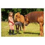 hobby-horse-br-4
