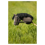 hobby-horse-br--2