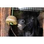bloc-de-foin-hippotonic-nature