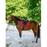 tapis-de-selle-tommy-hilfiger-stanford-regatta-red-rouge (1)