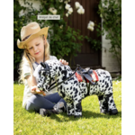 toy-pony-dakota-2