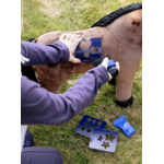 Toy-pony-gracie-4