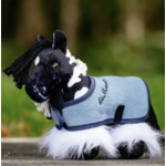 tiny-pony-razzle