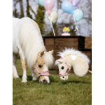 hobby-horse-lemon-1