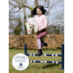 hobby-horse-lemon-2