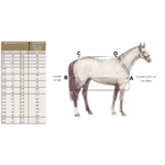 tableau des tailles horseware