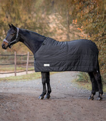 Waldhausen Couverture D’Extérieur Economic 100 G – Marine – 135 Cm – Imperméable Et Respirante Pour Cheval