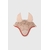 fredy-bonnet-harcour-coquillage