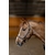 licol-cuir-little-groom-hfi-brun