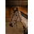 hfi-edge-bridon-cuir-2