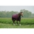 couverture-equitheme-tyrex-1200d