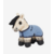 tiny-pony-dream