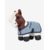 tiny-pony-flash-1