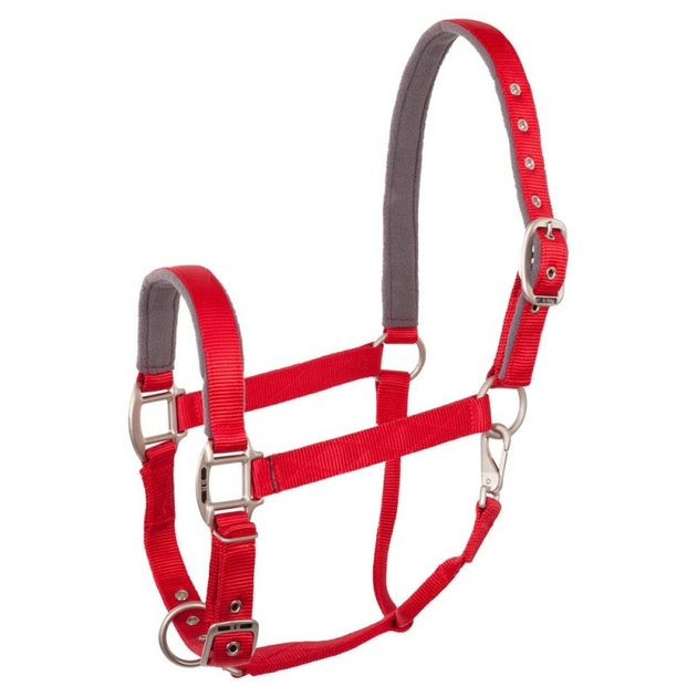 Pack licol + longe + tapis + amotisseur équitation cheval et poney WINNER  rouge