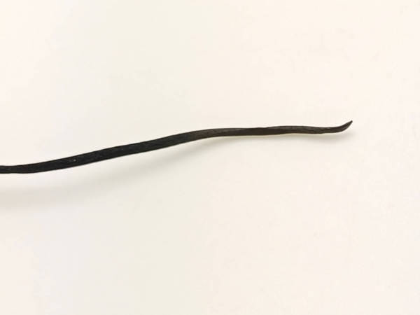 fil polyester cire pointe noir
