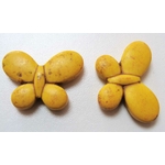 perle papillon jaune pierre pier49
