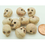 perles crane tete PIER103