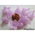 perle acrylique lilas corolle fleur