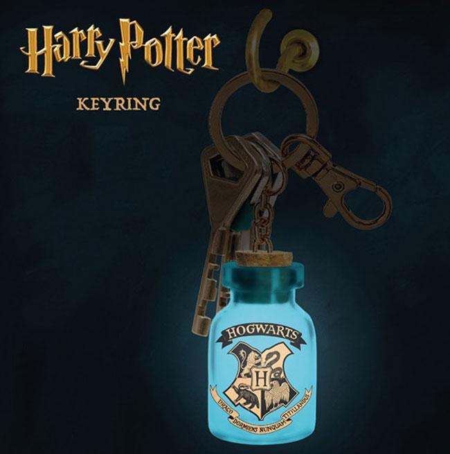 Harry potter porte cles lumineux potion magique