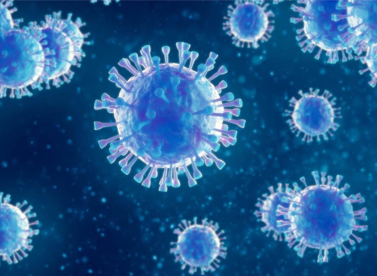 virus
