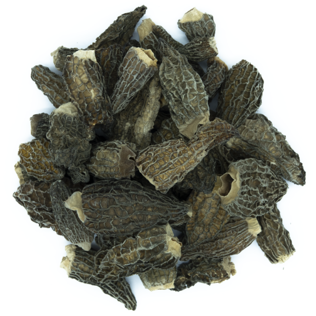 morilles-sauvages-de-patagonie-qualite-premium