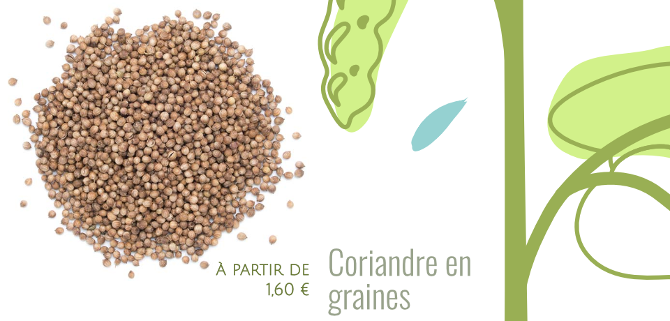 Une saveur riche, aux notes subtiles d'agrume. Utilisée dans toutes les cuisines du monde, la coriandre est une épice fondamentale, à la base de tous les mélanges d'épices ou presque !