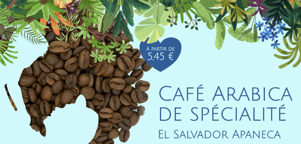 Poussant dans le terroir de Ahuachapan au Salvador, ce café dévoile en tasse des notes de prunes et de fruits confits avec une grande richesse aromatique et une légère touche cacaotée en fin de bouche.