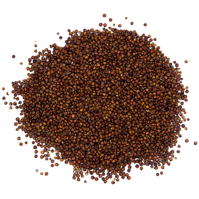 quinoa-rouge