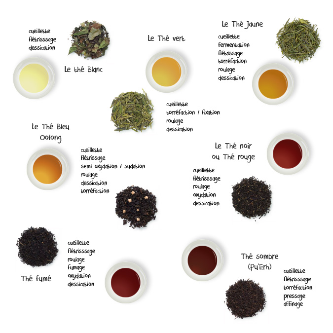 comprendre les differentes couleurs du the