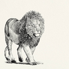 illustration-lion-450-ml-maxwell-and-williams-par-marini-ferlazzo