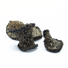 truffe-brumale-deshydratee-zoom2