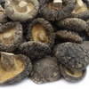 champignon-shiitake-seches-entier-detail