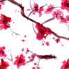 cherry-kyoto-blossom-motif-eigenart