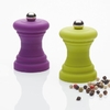 Mini moulin poivre ou sel violet vert anis