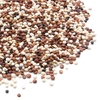 quinoa-trois-couleurs-detail