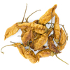 Piment Datil