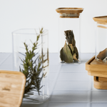 set-de-2-boites-de-conservation-d-epices-et-herbes-aromatiques-carrees-empilables-verre-borosilicate-et-bambou-320ml