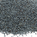 graines-de-pavot-bleu-detail