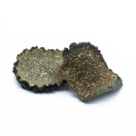 truffes-d-ete-sechees-tuber-aestivum-zoom