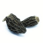 morilles-sauvages-de-patagonie-qualite-premium-zoom2