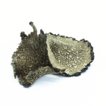 truffes-d-ete-sechees-tuber-aestivum-zoom2