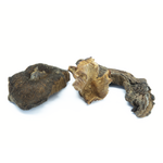 melange-forestier-de-champignons-seches-bolets-girolles-cepes-zoom
